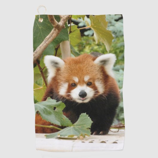 Serviette De Golf Panda rouge (Devant)