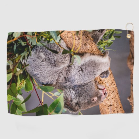 Serviette De Golf Petit koala doux (Horizontal)