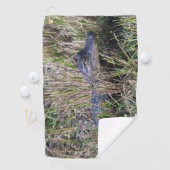 Serviette De Golf Photo de faune d'un bébé alligator mignon dans de (En situation)