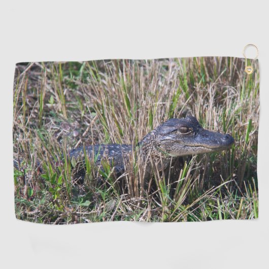 Serviette De Golf Photo de faune d'un bébé alligator mignon dans de (Horizontal)