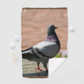 Serviette De Golf Photographie de pigeon (En situation)