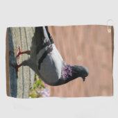 Serviette De Golf Photographie de pigeon (Horizontal)