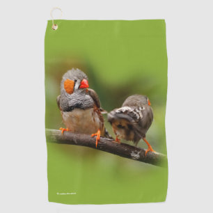 Serviette De Golf Pinsons zébrés effrontés oiseaux chanteurs sur une