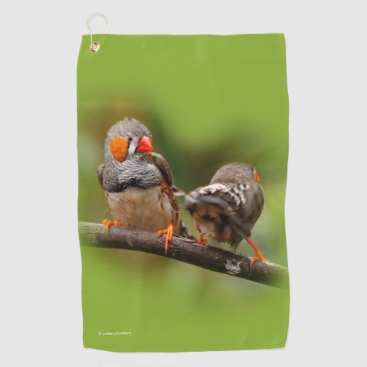 Serviette De Golf Pinsons zébrés effrontés oiseaux chanteurs sur une (Devant)