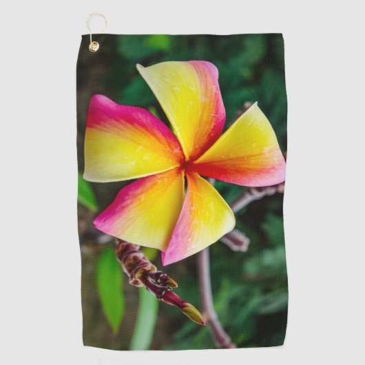 Serviette De Golf Plumeria rubra (Devant)
