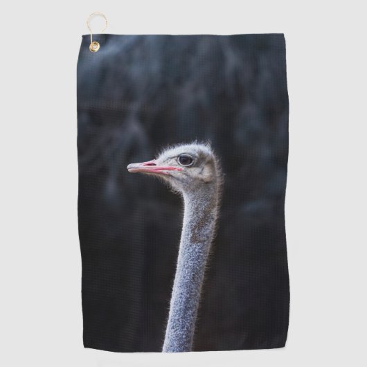 Serviette De Golf portrait d'autruche (Devant)