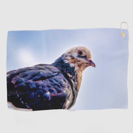Serviette De Golf Portrait de Pigeon (Horizontal)