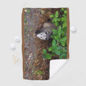 Serviette De Golf Possum Dans Le Brut (En situation)