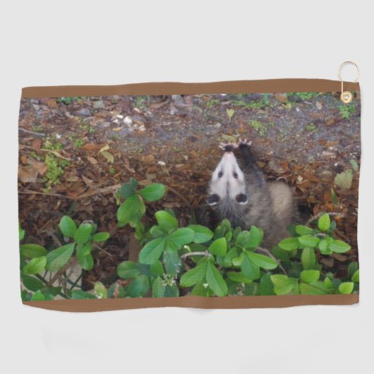 Serviette De Golf Possum Dans Le Brut (Horizontal)