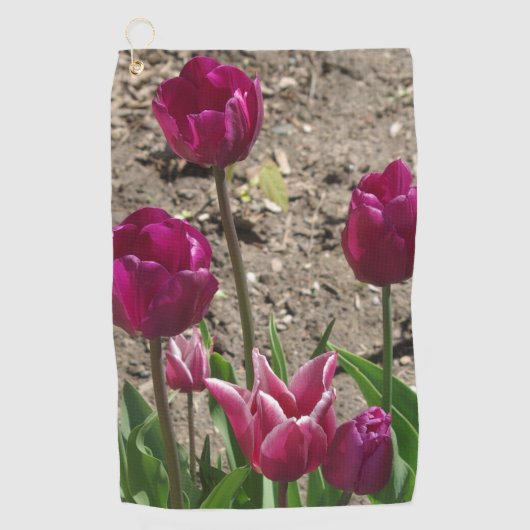 Serviette de golf pourpre Tulips (Devant)