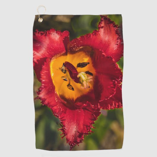 Serviette De Golf Tuliforme rouge (Devant)