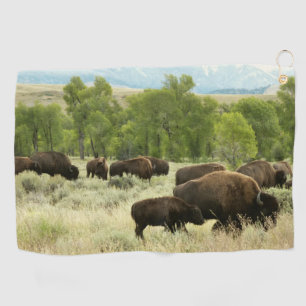 Serviette De Golf Wyoming Bison Nature Animal Photographie