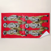 Serviette De Plage 3 Meerkats debats Thunder_Cove (Devant)