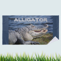 Alligator Grinning Gator Photographie