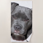 Serviette De Plage American Pit Bull Terrier (Devant)