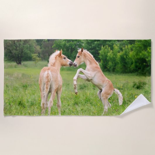 Serviette De Plage Amis mignons de poulains de chevaux de Haflinger (Devant)