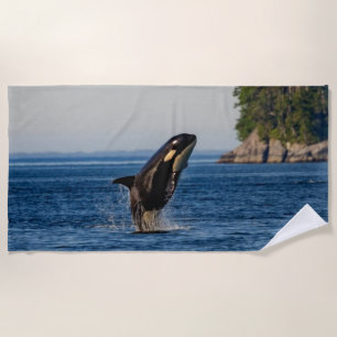 Serviette De Plage Baleine tueuse qui atteint l'océan