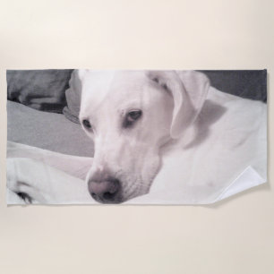 Serviette De Plage Belle Grand Chien Blanc Face Gris Plage
