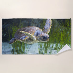 Serviette De Plage Belle natation de tortue marine