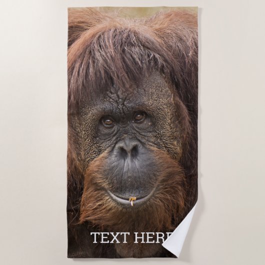 Serviette De Plage Belle photographie de Borneo Orangutan (Devant)