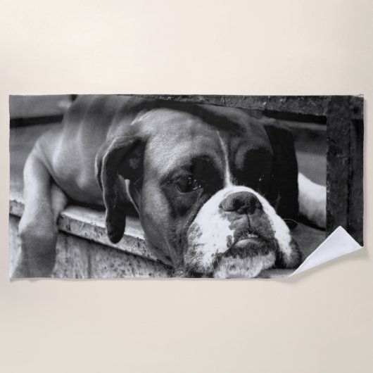 Serviette De Plage Boxer Dog On Windowsill btcn Beach Towne (Devant)