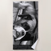 Serviette De Plage Boxer Dog On Windowsill btcn Beach Towne (Devant)