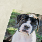 Serviette De Plage Cadeau photo personnalisé pour animaux de compagni (En situation)