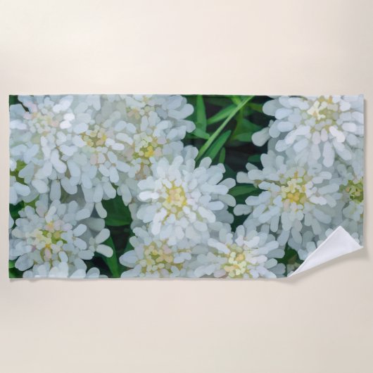 Serviette De Plage Candytuft Blanc Fleur Graphique (Devant)