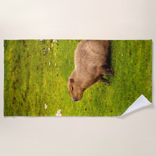 Serviette De Plage Capybara (Devant)
