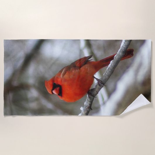 Serviette De Plage Cardinal masculin (Devant)