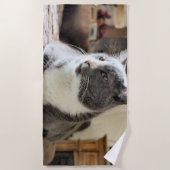 Serviette De Plage Cat (Devant)
