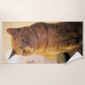 Serviette De Plage Cat (Devant)