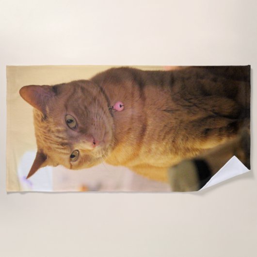 Serviette De Plage Cat (Devant)