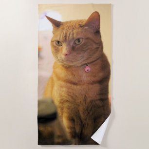 Serviette De Plage Cat