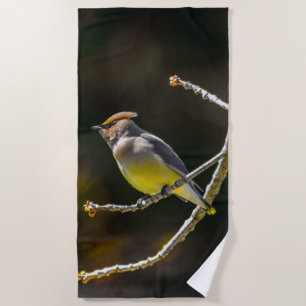 Serviette De Plage Cèdre cire Songbird Photo originale Oiseau sauvage