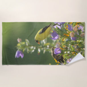 Serviette De Plage Chardonneret sur une fleur de campanule