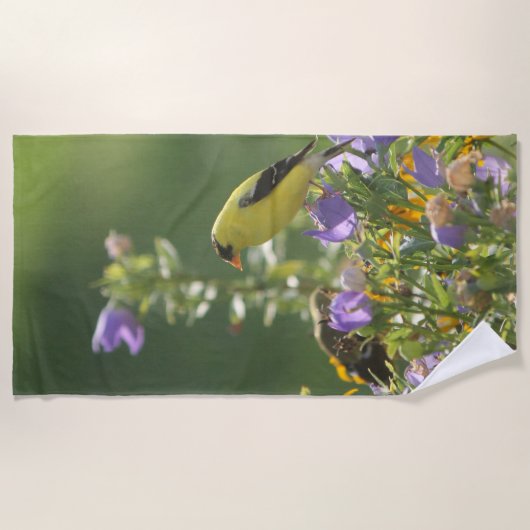 Serviette De Plage Chardonneret sur une fleur de campanule (Devant)