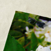 Serviette De Plage Chartreuse Vert, Hydrangea Limelight, (En situation)