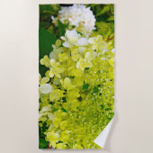 Serviette De Plage Chartreuse Vert, Hydrangea Limelight, (Devant)