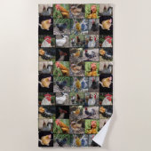 Serviette De Plage Collage De Photos De Poulets Et De Coqs, (Devant)