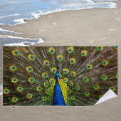 Serviette De Plage Colorful peacock
