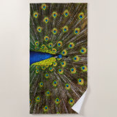 Serviette De Plage Colorful peacock (Devant)