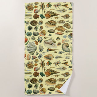 Serviette De Plage Coquillages de coquillages Mollusk Clam Élégant Ar