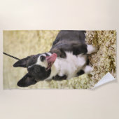 Serviette De Plage Corgi (Devant)