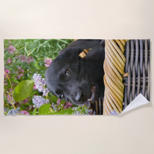 Serviette De Plage Cuisine Black Labrador Retriever Chien Chiot Chiot (Devant)