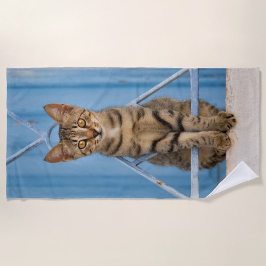 Serviette De Plage Cuisine Nosy Tabby Chat Kitten assis dans une clôt (Devant)