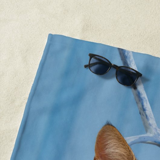 Serviette De Plage Cuisine Nosy Tabby Chat Kitten assis dans une clôt (En situation)