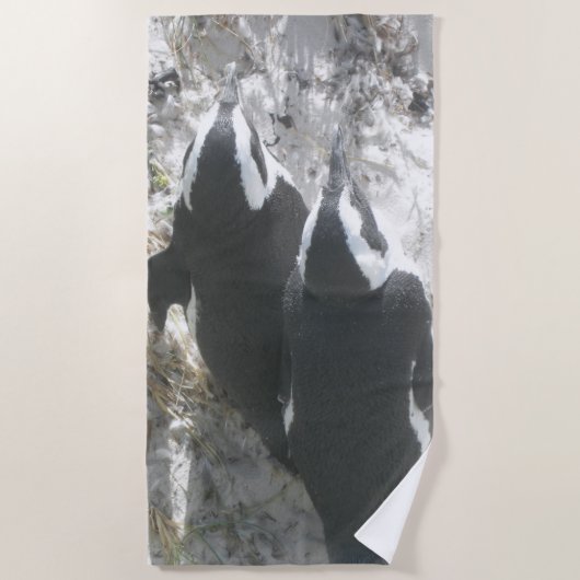 Serviette de plage de deux mignons pingouins (Devant)