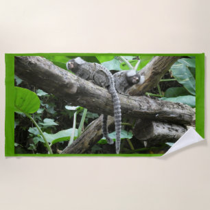 Serviette de plage de mignons singes