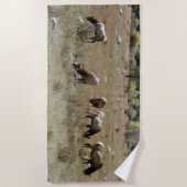 Serviette de plage d'Elk (Devant)